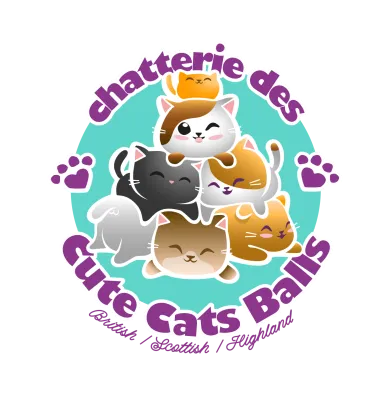 Chatterie des Cute Cats Balls